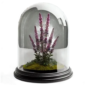 Heather In Glass Dome Png 06122024 PNG image