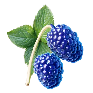 Heavenly Blue Raspberry PNG 06212024