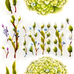 "heavenly Hydrangeas: Graceful Flower PNG" A
