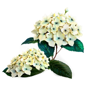 "heavenly Hydrangeas: Graceful Flower PNG" C