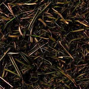 Heavy Duty Landscape Mulch PNG 23
