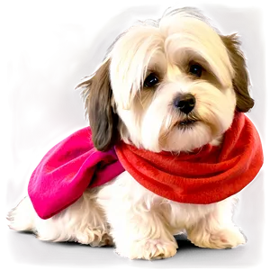 Heavy-hearted Havanese Png Bvp90 PNG image