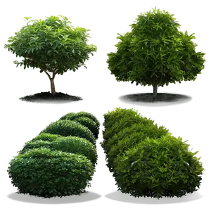 Hedge Shrubs Png 51 PNG image