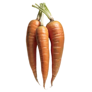 Heirloom Carrot PNG Krg
