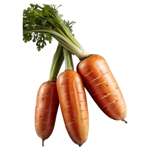 Heirloom Carrot PNG Wkp
