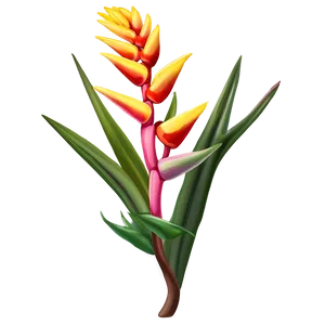 Heliconia Flower Drawing PNG Cqc51 PNG