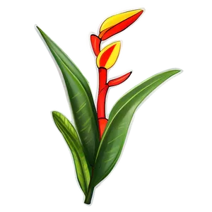 Heliconia Flower Drawing PNG Wwp PNG