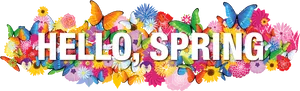 Hello Spring Colorful Floral Butterfly Design PNG image