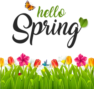Hello Spring Greeting Card Design