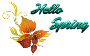 Hello Spring Greeting Graphic PNG image