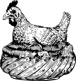Henon Nest Illustration PNG image