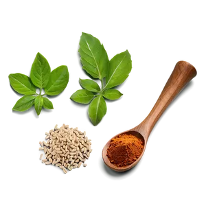 Herb And Spice PNG 55
