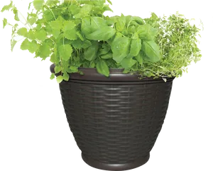 Herb Gardenin Brown Flower Pot PNG image