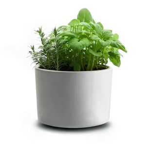 Herb In Pot PNG 06272024 PNG