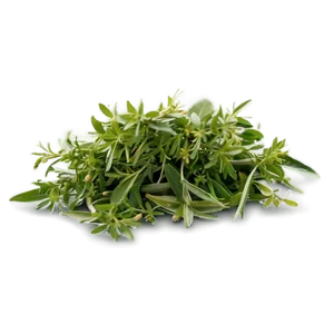 Herb Infusion Png 14 PNG image