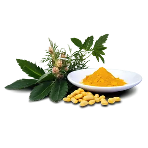 Herbal Medicine PNG And81 PNG