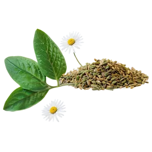 Herbal Mix PNG Jnl PNG