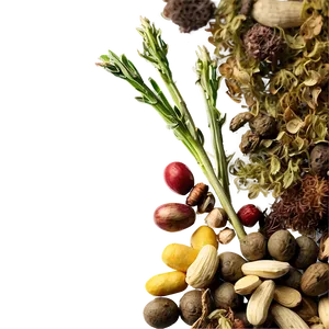 Herbal Mix PNG Nit