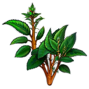 Herbal Plant PNG 05032024