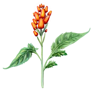 Herbal Plant PNG 05032024