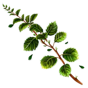 Herbal Plant PNG 39