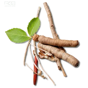 Herbal Root Medicine Png 06252024 PNG image