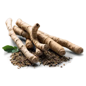 Herbal Root Medicine Png 38 PNG image