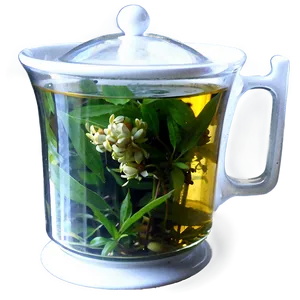 Herbal Tea Cup PNG 14