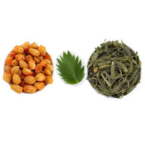 Herbal Wellness PNG 88 PNG