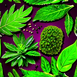 Herbal Wellness PNG Ott42 PNG