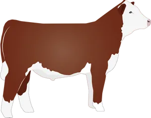 Hereford Cow Illustration PNG image