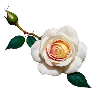 Heritage Floral Rose PNG Hiq41 PNG