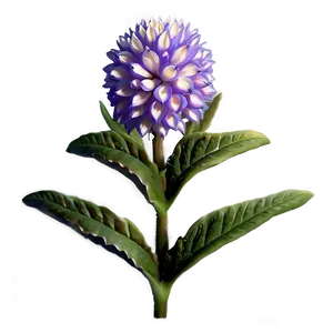 Heritage Garden Bloom PNG 06252024