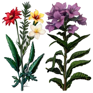 Heritage Garden Bloom PNG Cst PNG