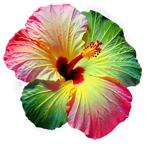 Hibiscus Abstract Png 8 PNG image