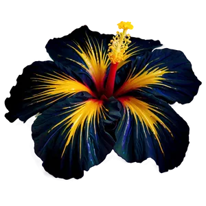 Hibiscus Abstract Png Fbf80 PNG image