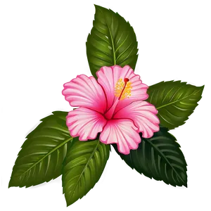 Hibiscus Art Png Vop95 PNG image