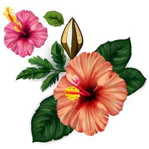 Hibiscus Background PNG 92