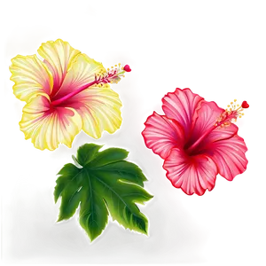 Hibiscus Background PNG Yiq