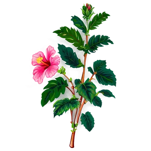 Hibiscus Clipart Png 6 PNG image