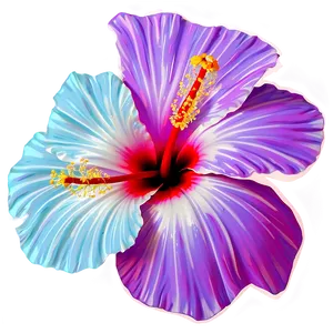 Hibiscus Clipart Png Sau PNG image