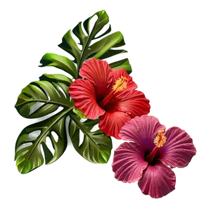Hibiscus Decor Png Mrp24 PNG image