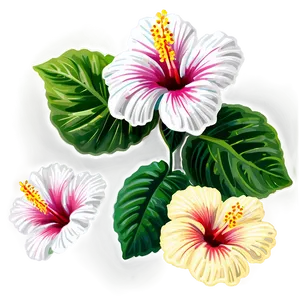 Hibiscus Decor Png Ptn16 PNG image