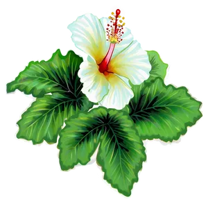 Hibiscus Design Png Qit PNG image
