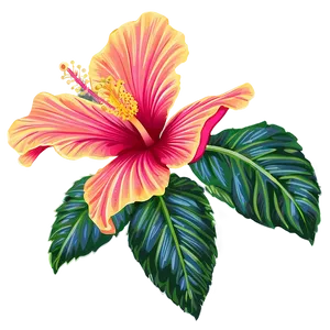 Hibiscus Drawing Png Uil PNG image