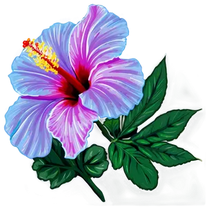 Hibiscus Elegance Png 05232024 PNG image