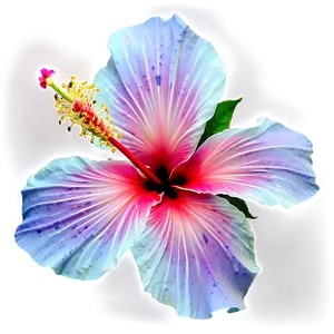 Hibiscus Fantasy Png 05232024 PNG image