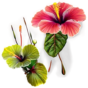 Hibiscus Fantasy Png Gub11 PNG image