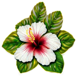 Hibiscus Festival Png 05232024 PNG image