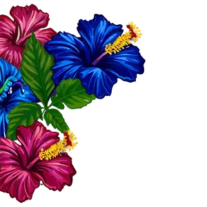 Hibiscus Flower Border PNG 05252024